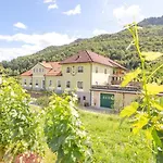 Weingut Rixinger منزل للإقامة Spitz an der Donau